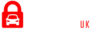 Car Theft Solutions Logo